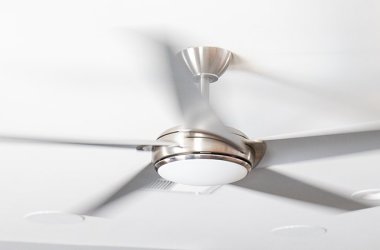 Ceiling Fans